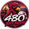 480 Bird Brain profil fotoğrafı