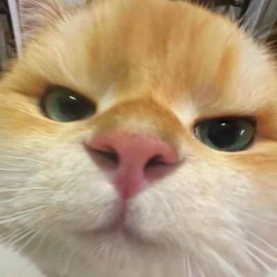 fy — daisy. ♡🪷's profile picture
