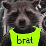 Фото профиля Ken D Raccoon