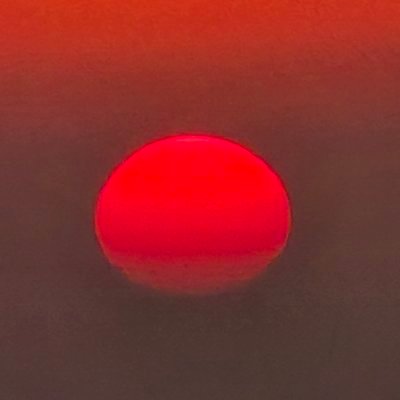 JaredShawNew1's profile picture