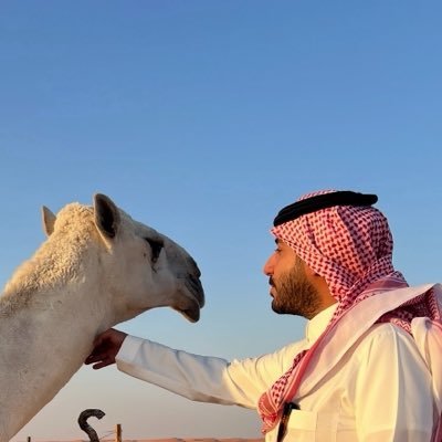 qaqe1111's profile picture