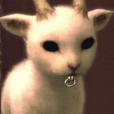 misa!'s profile picture