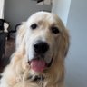 Logan 的头像