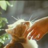 HANA' profil fotoğrafı