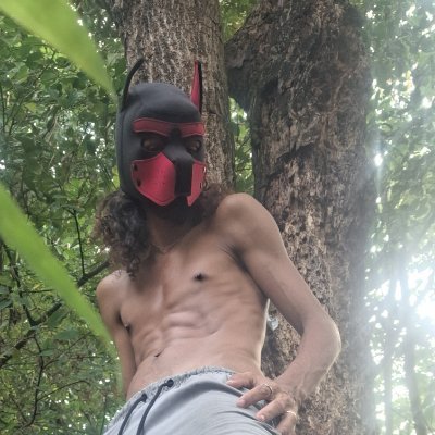Put1nhoTarz's profile picture