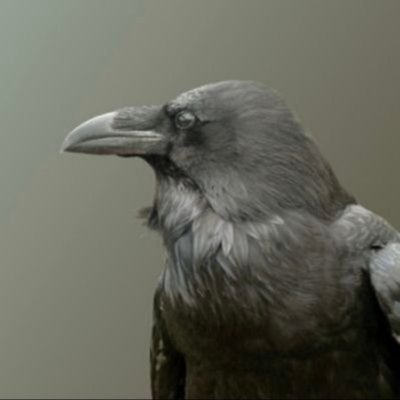 schweiz__'s profile picture