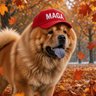 Profilbild von 🇺🇸 KAYA PIKER
