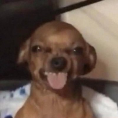 __princess_tee's profile picture