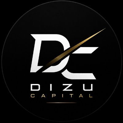 Dizu Capital's profile picture