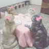 debisss⁷🪭 profil fotoğrafı