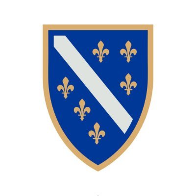 Haris Begić 🇧🇦's profile picture