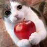 ੈ✩˚Twixx☆°.'s profile picture