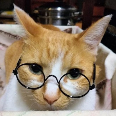 taranomeke's profile picture