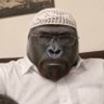 Dog Brain's profile picture