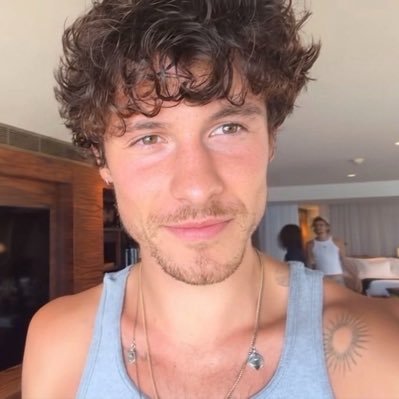 totimendes's profile picture
