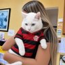 badjaque profil fotoğrafı