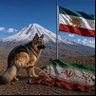 Nazli's profile picture