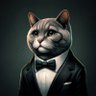 Profilbild von Volcat
