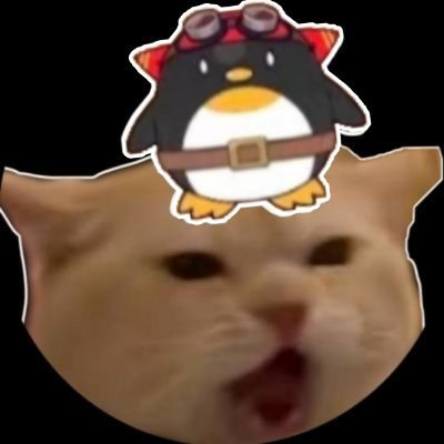 meongskia's profile picture