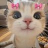 leylapembemont's profile picture