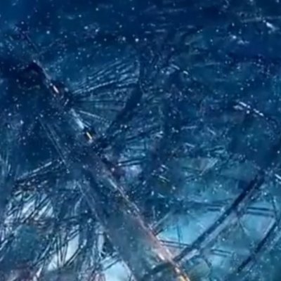 tanchibu37099's profile picture