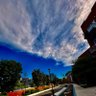 wiszy_city profil fotoğrafı
