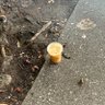 CB 的头像