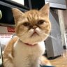 SBrenthor ๐๐โ๏ธ๐ญ๐ต๐ญ๐'s profile picture