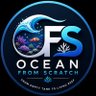 Ocean From Scratch 🌊 profil fotoğrafı