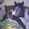 Profilbild von GiGi