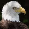 WNiNE's profile picture