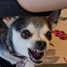 Bob's profile picture
