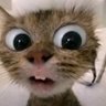 Profilbild von lowhp..