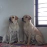 Фото профиля Anand B T... (I AM MODIJI PARIWAR)