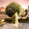 chris's profile picture