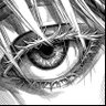 f_nlc1's profile picture
