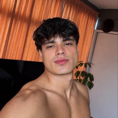 Luis Ruelas's profile picture