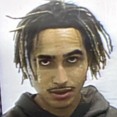 loreanismo's profile picture