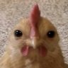 Goober profil fotoğrafı
