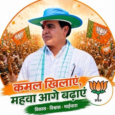 Rajendra Meena MLA's profile picture