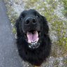Profilbild von Brady
