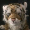 Gh profil fotoğrafı