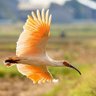 佐々木和男 profil fotoğrafı