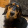 OwenTheCurly's profile picture