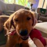 eli profil fotoğrafı