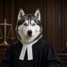 Profilbild von Husky Prokurator