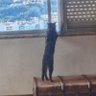talitacmb1's profile picture