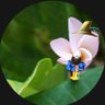 ✨ALY✨ profil fotoğrafı