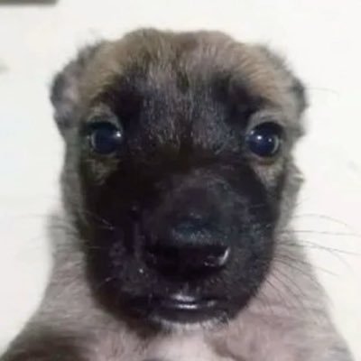 ૮. . ྀིྀིა's profile picture