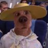 Profilbild von ScoobyDoo